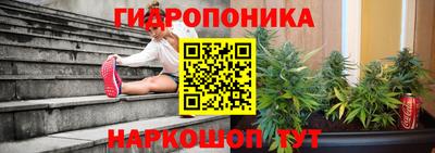 твердый Кинель