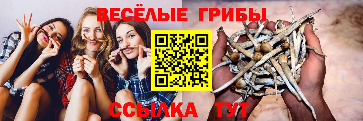 Кузнецк  Галлюциногенные грибы прущие грибы  Галлюциногенные грибы мухоморы  наркота  Вход с VPN 