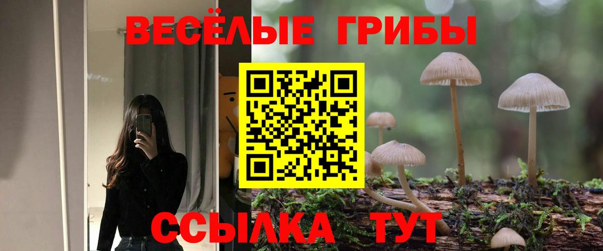 Псилоцибиновые грибы мухоморы Кузнецк
